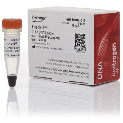 TrackIt™ 10 bp DNA Ladder