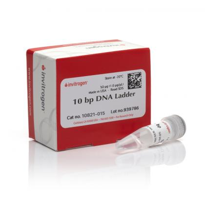 10 bp DNA Ladder