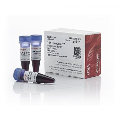 BlueJuice™ Gel Loading Buffer (10X)