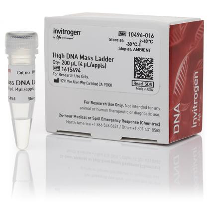 High DNA Mass Ladder