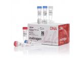 Zero Blunt® TOPO® PCR Cloning Kit, ...