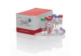 TOPO® TA Cloning® Kit for Sequencin...