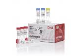 TOPO® TA Cloning® Kit for Subclonin...