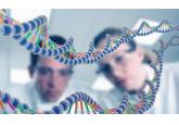 DNA 测序受托服务流程