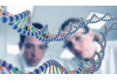 DNA基因解析业务介绍