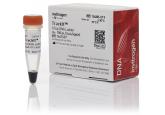 TrackIt™ 10 bp DNA Ladder