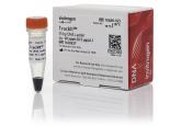 TrackIt™ 25 bp DNA Ladder