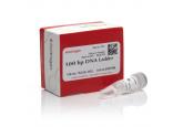 100 bp DNA Ladder