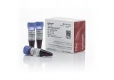 BlueJuice™ Gel Loading Buffer (10X)