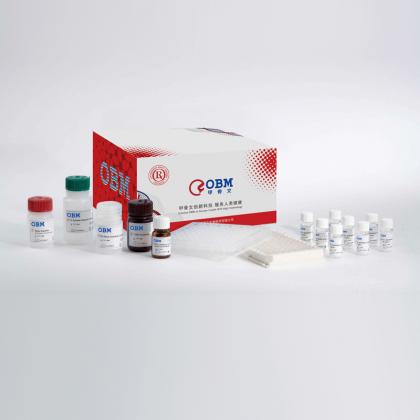 DETACHaBEAD CD19 Kit
