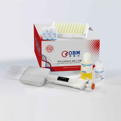 Caspase 3 Assay Kit, Colorimetric