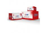 VENTANA anti-Cyclin D1 (SP4-R) Rabb...