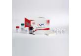 Dynabeads T4 Quant Kit 