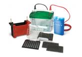 小型 Mini Trans-Blot® 转印槽