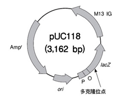 blob16355184.png blob.png