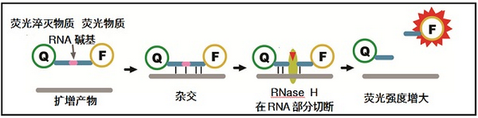 blob36422787.png blob.png