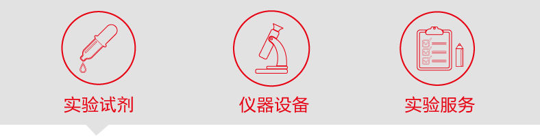 抬头.png