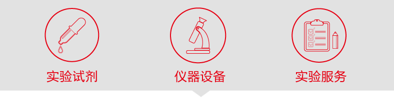 抬头49634847.png