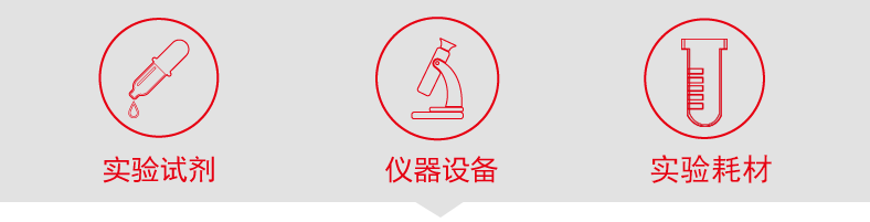 抬头（仪器）.png